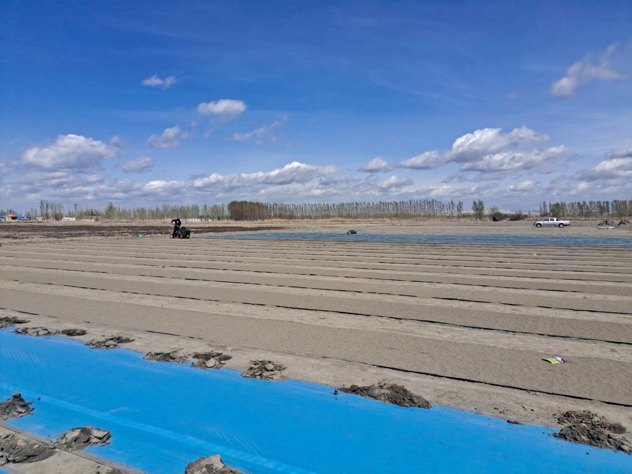 ad00684de69578de0944b2cae3e3486