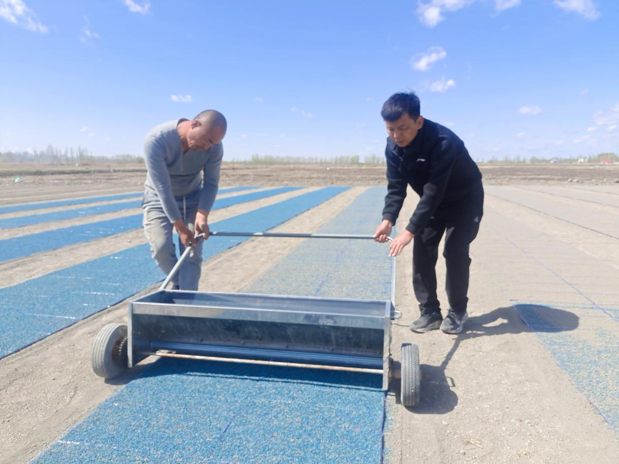 132e7a404a476b9fbe788493440404c