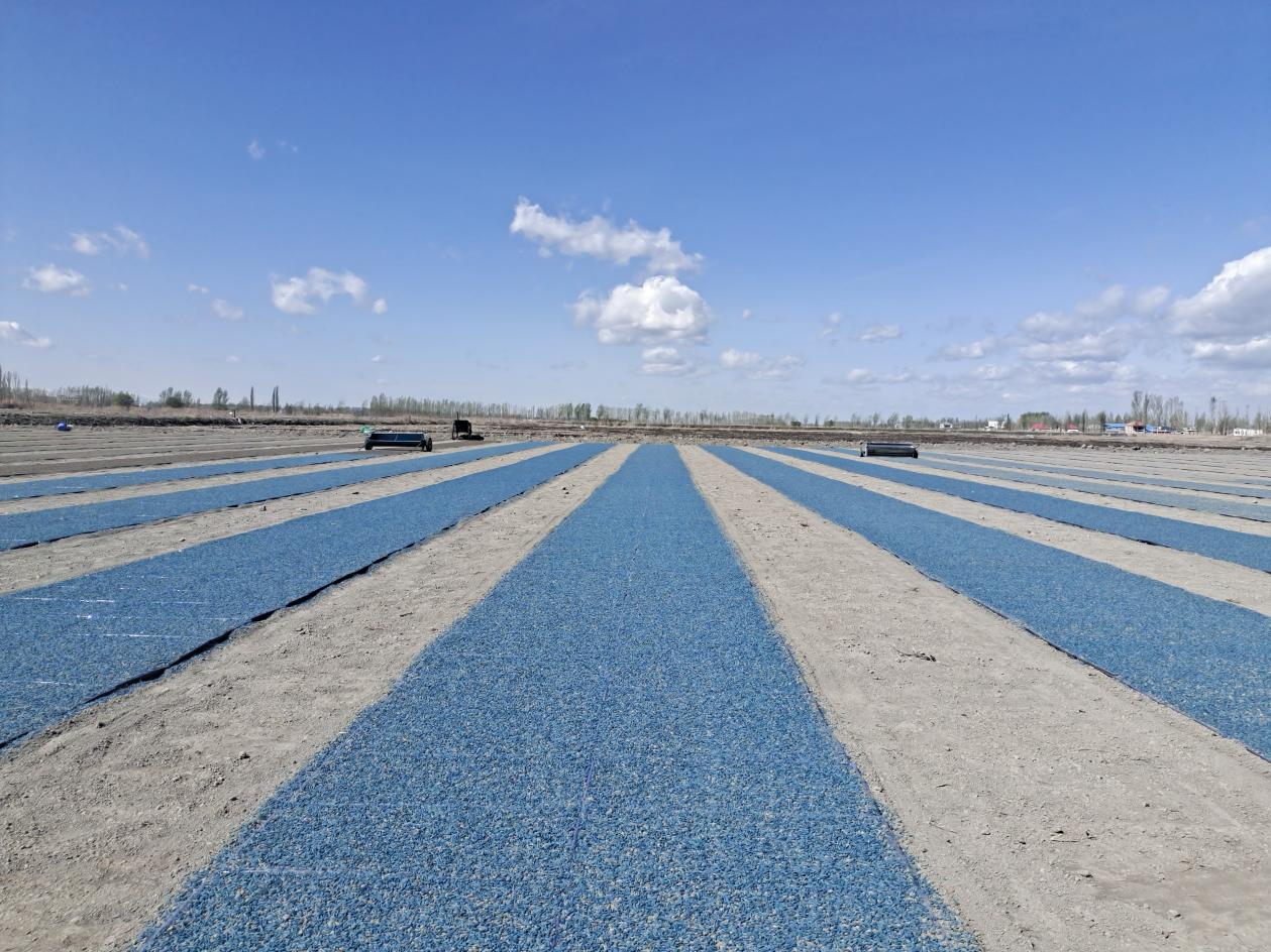 c6195b15a3400ba46d76249dfcbaa4f