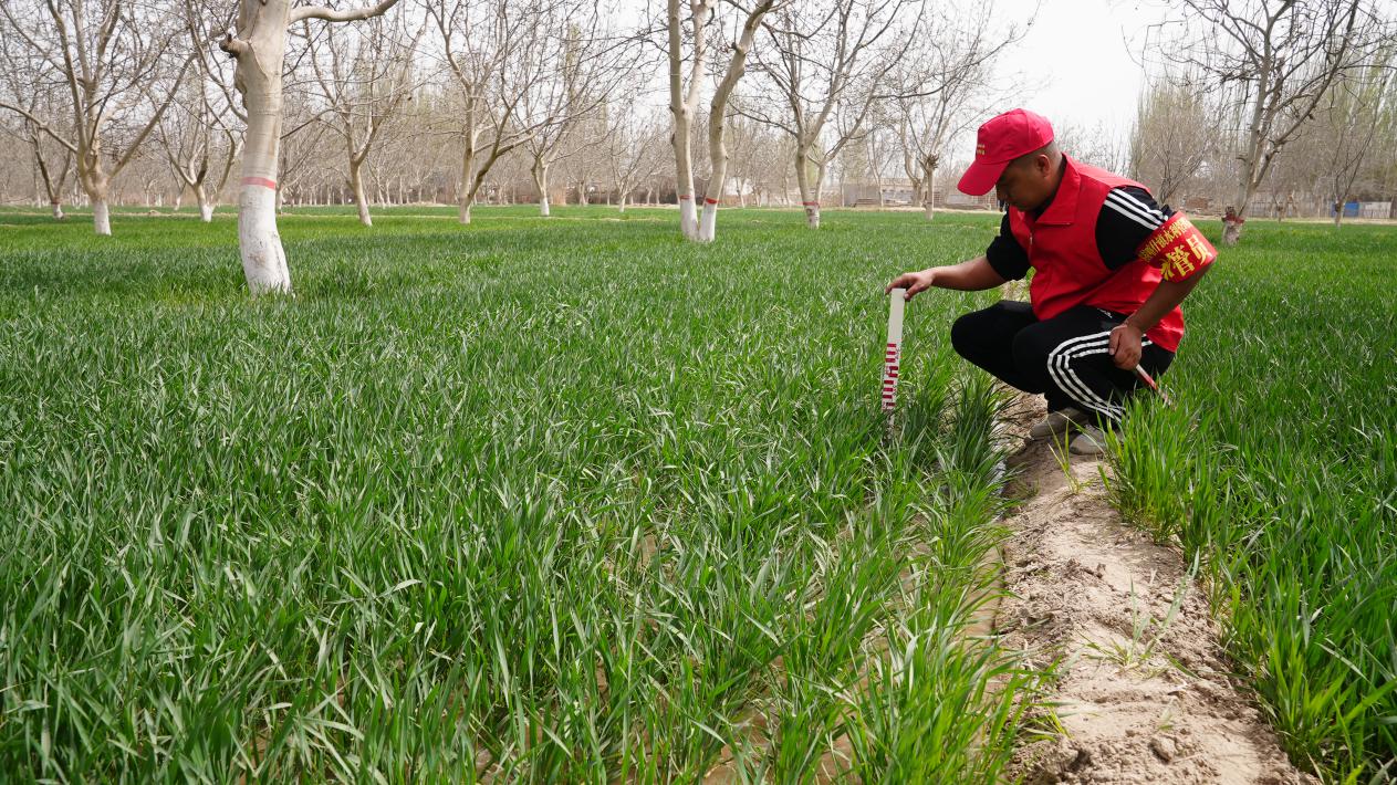 水管站工作人员测量用水情况