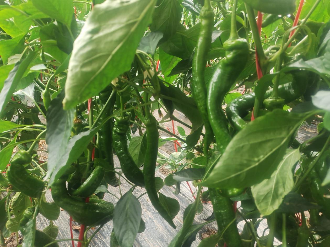 b4b49fe80dcdb5a6b06d325dd6f9f22