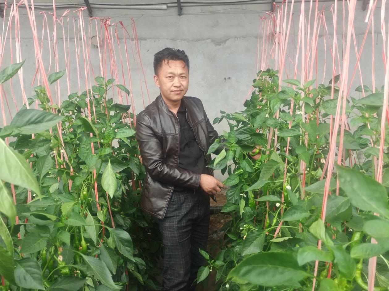 2470c50453c4f33aebd3474947cb582