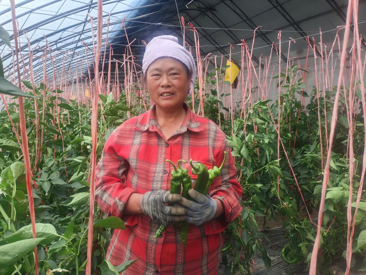 7abd74e6393a21444235a78b8deeb8a