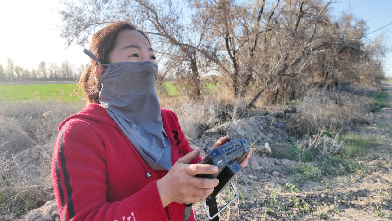 图为:4月23日,李魏正在操控农用植保无人机。芦文涛 摄