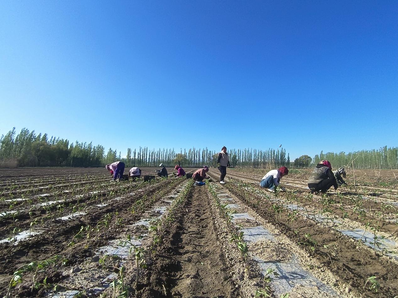 1e3d1e9ebb9de6acf50b4b1da24672a