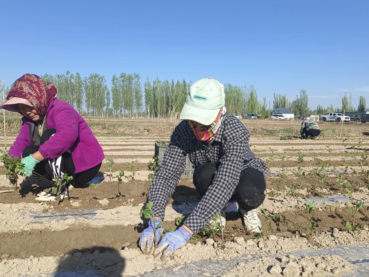 51591f5d46bdf4467056f3b402afce8