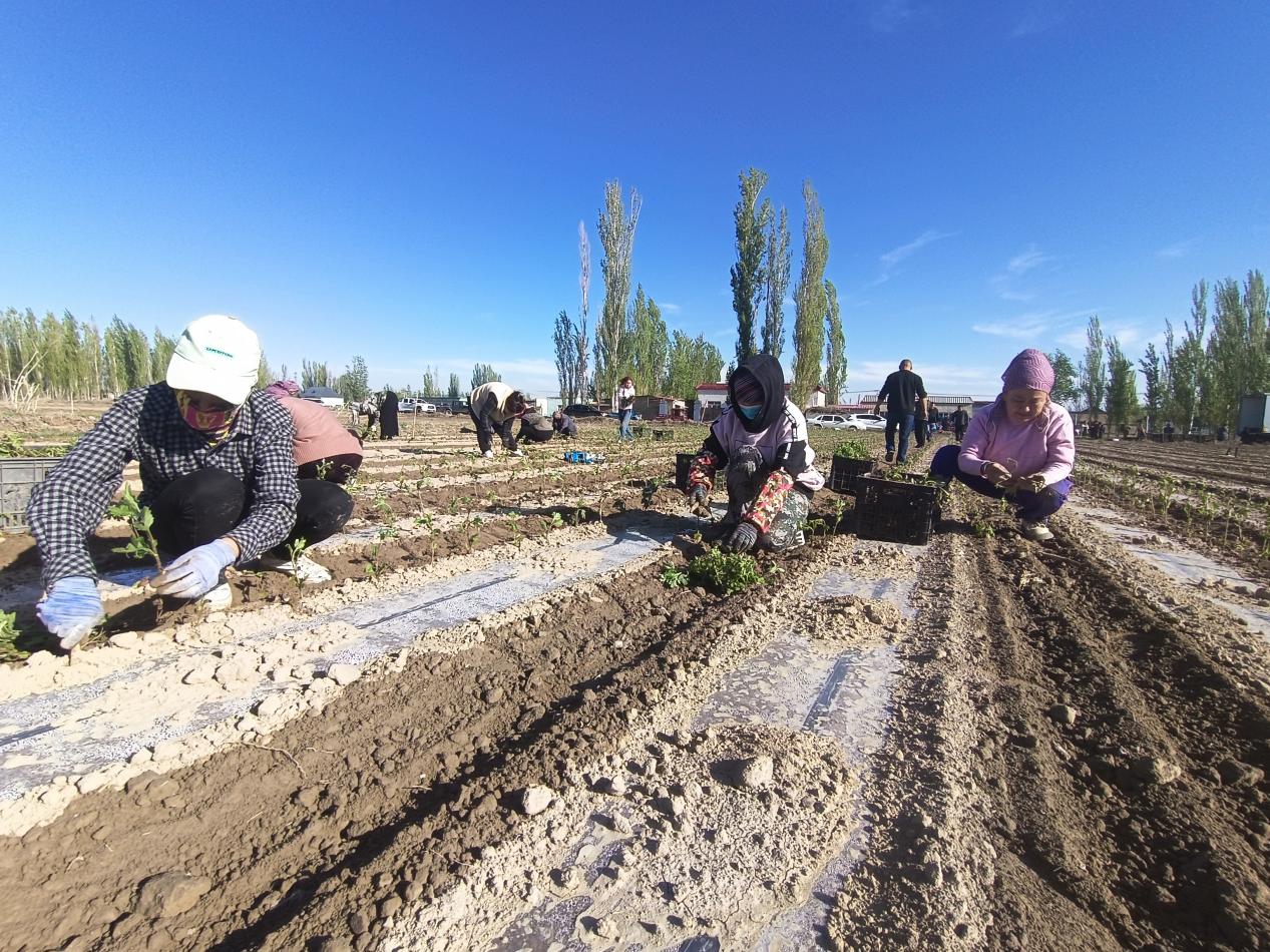 27cca5978503f46d554383ad439f1dc