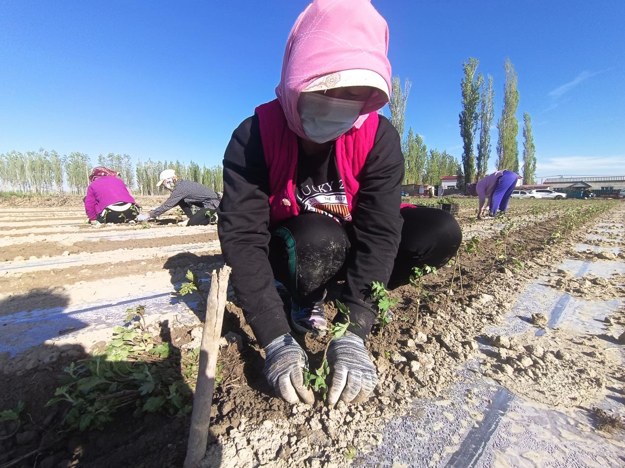 1d353a4441d603969424ee82b8685eb