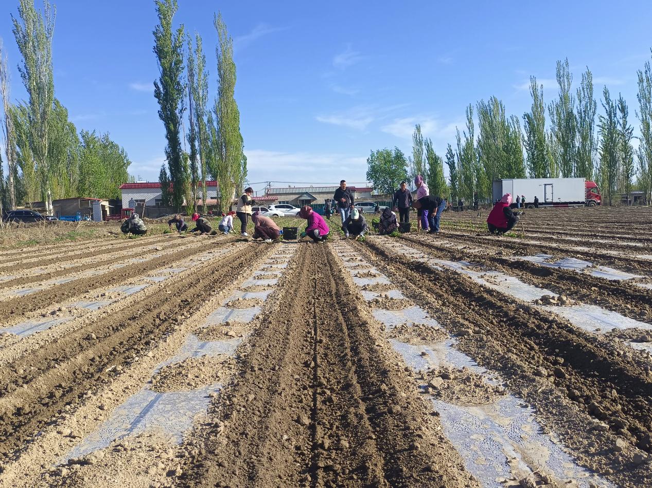 e3fc71859790a48fdba7e3c27fb1f46