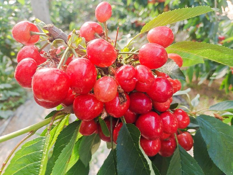 aee23acb4bb96a1506bf07beecf9f3b