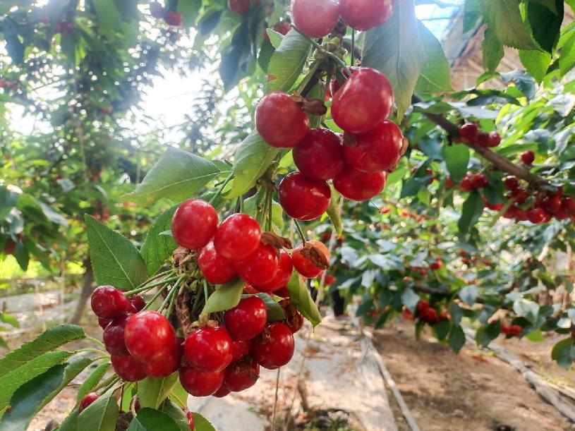 f126263a0ae5d0f5132733ce7fe7f5c