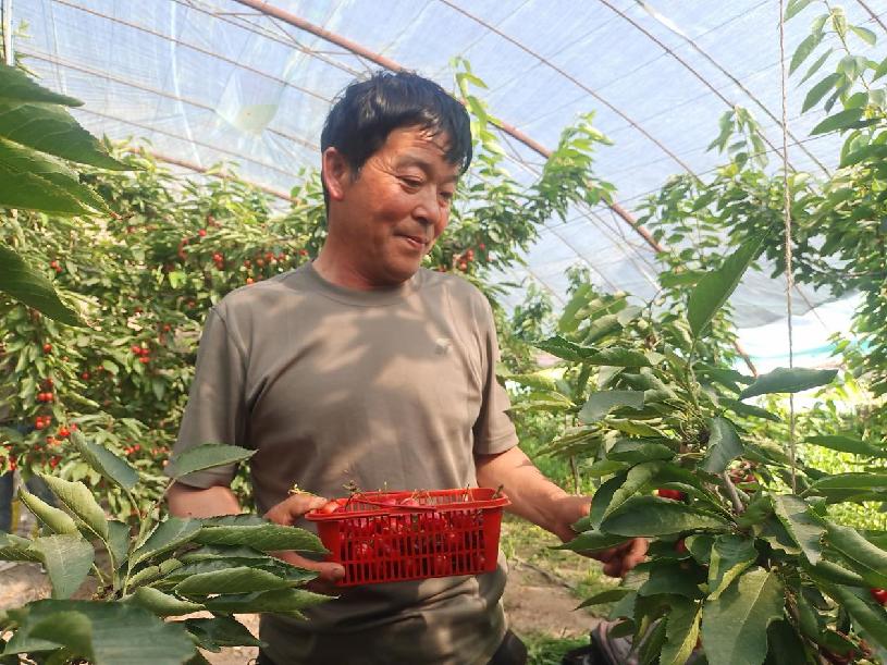 cd52bab3b9af5a0c3279202404973d2