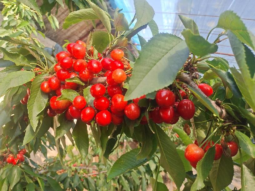 44aa3499f785e0a1591502f3edd7b70