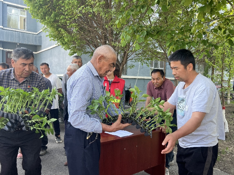 a2e9ce33fcc5d5e0ad7f0e1c993096e