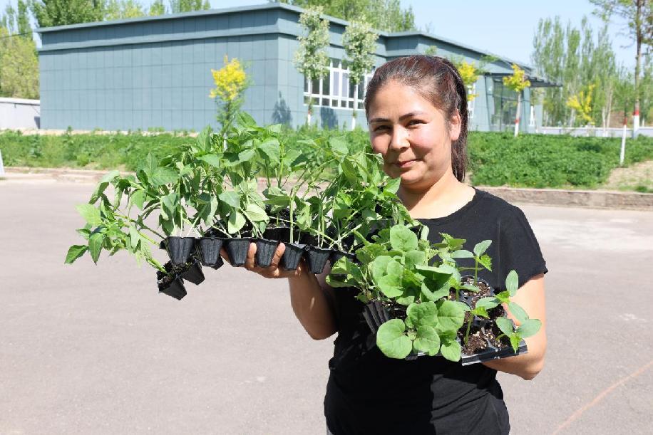 16ff02a8df032ed0bd7ede44af68bbb