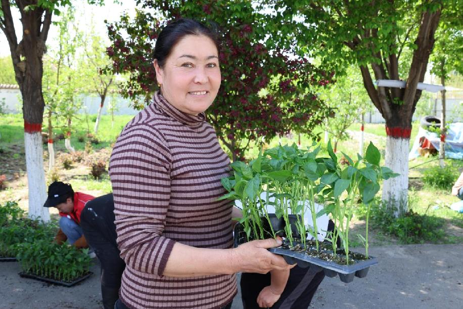 20ef3f73420d7799139638e3063ab73