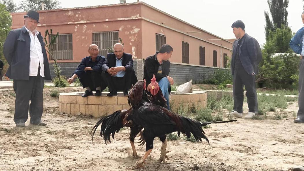 d7cb5699fac19c6c2c62e081c0b3d60