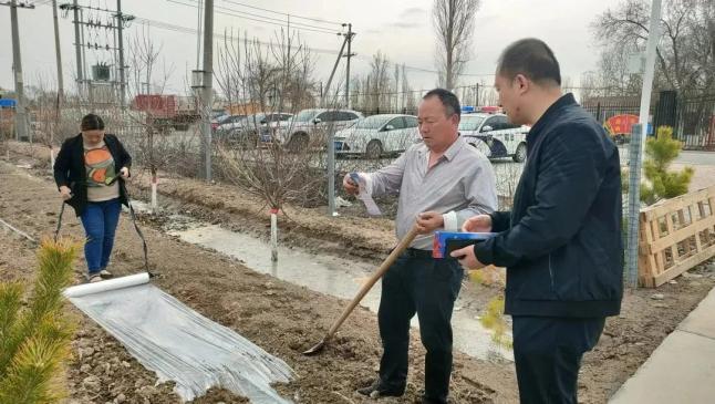 17b6306492d442f59c7308b696e43e0