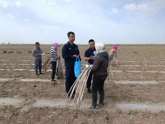 67531269dd39f03dbede73b0b58bde3