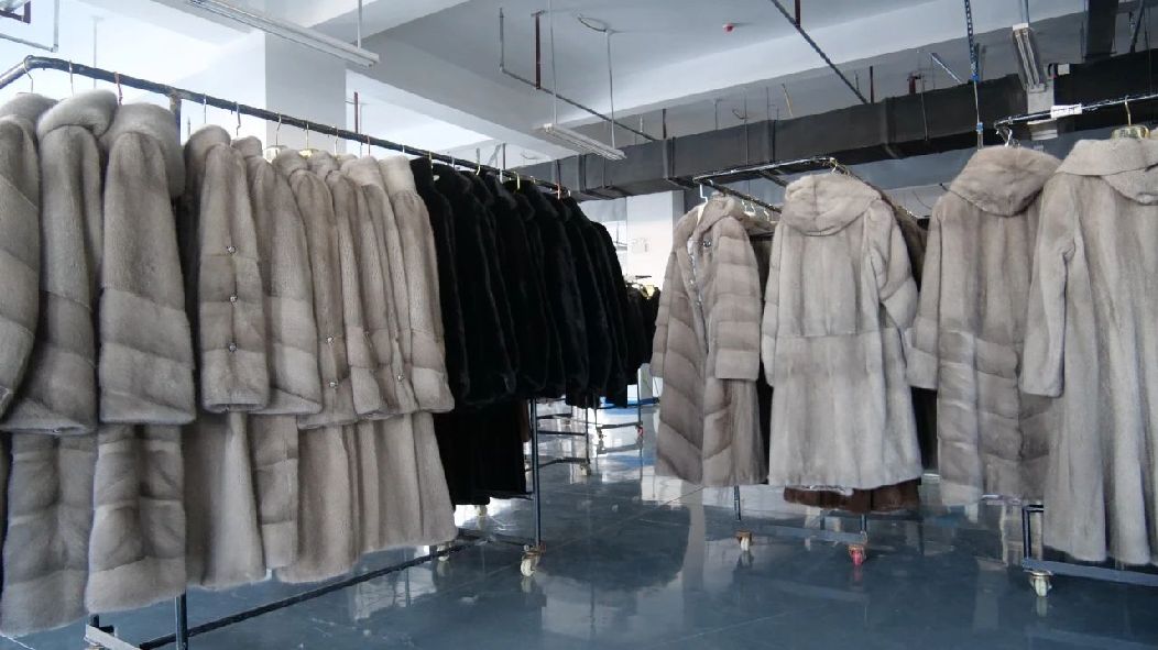 微信图片_20240524102332