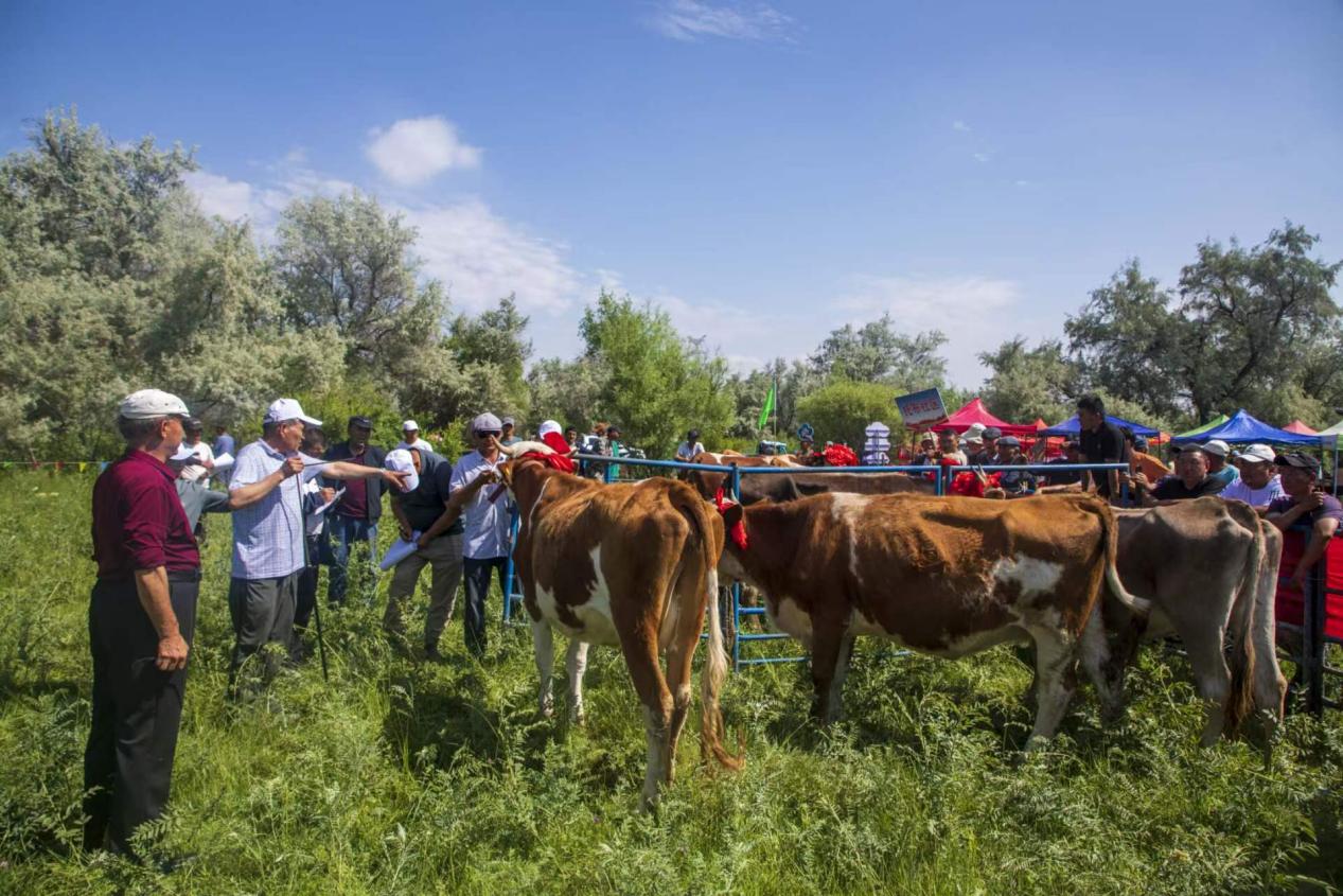 7a6fe53d7a76e5097babe34636c775e