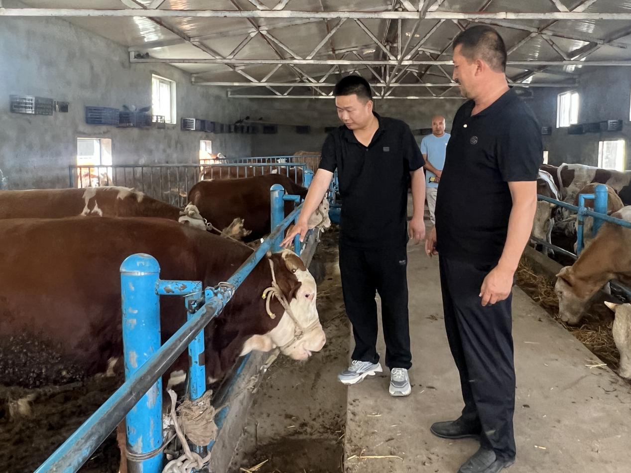 村干部到阿卜杜克尤木·百克力家了解养殖情况