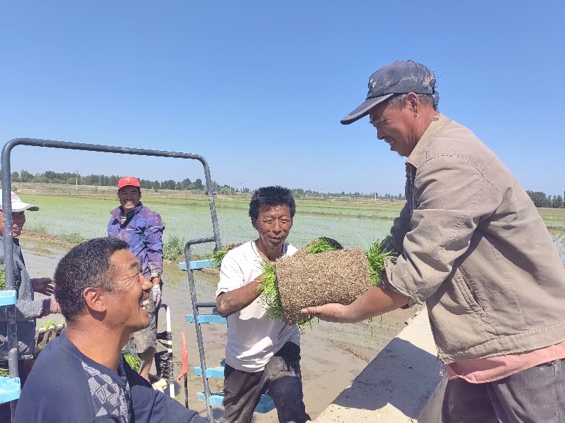 c510f3a7f3d34d164a8d406f9fb2f57