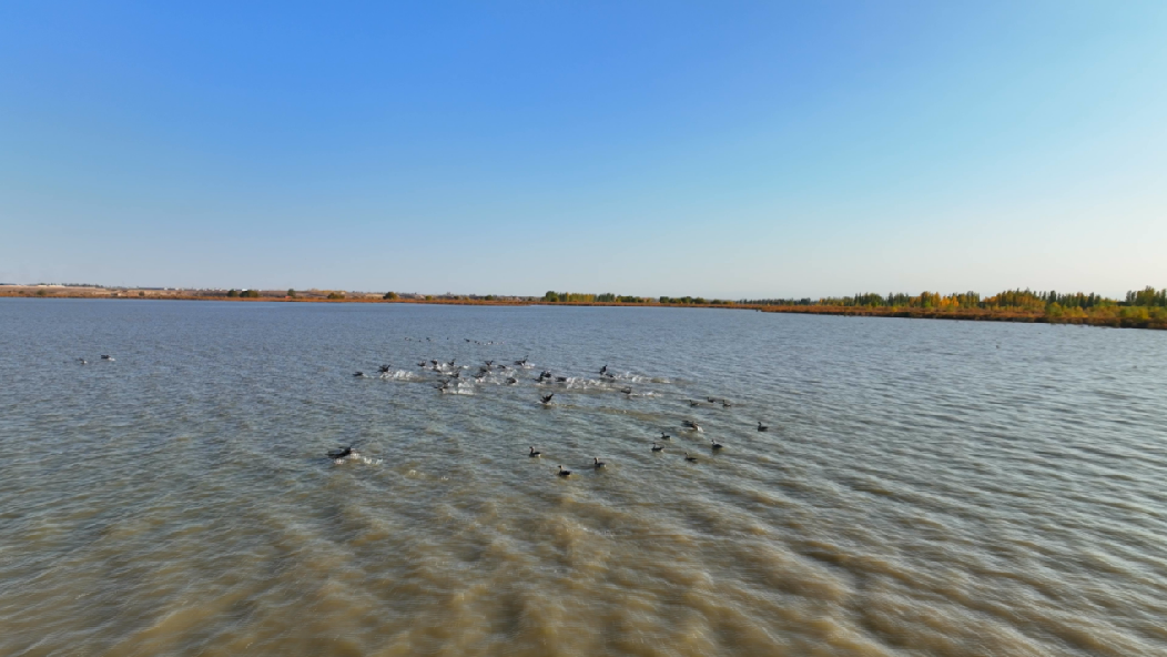 守护一方净土打造“湿”意生态 (1) (1)