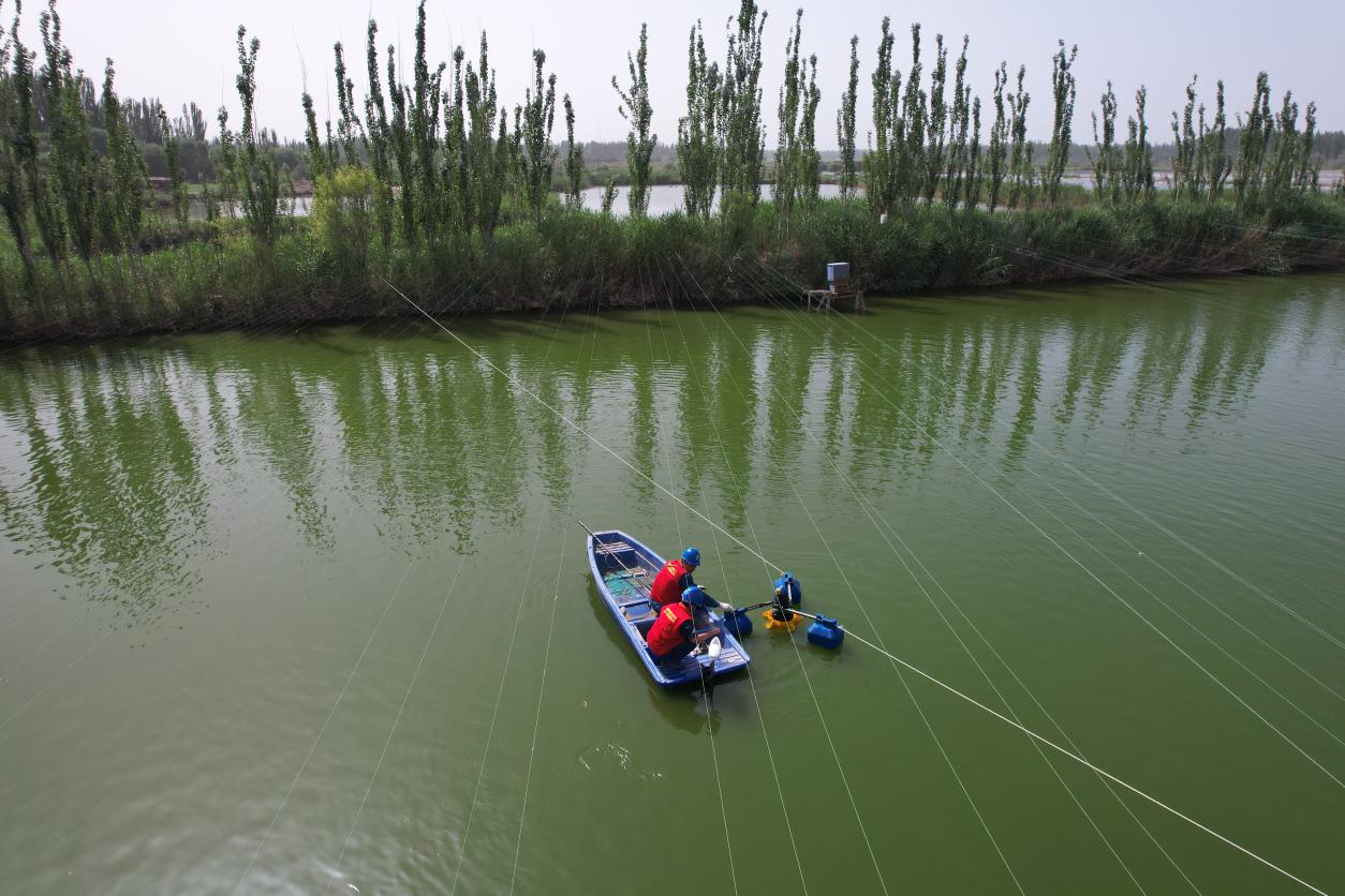 国网墨玉县供电公司工作人员正在检查鱼塘设备 (2)