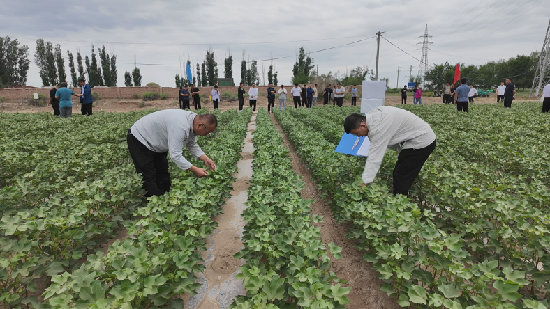 微信图片_20240614103323