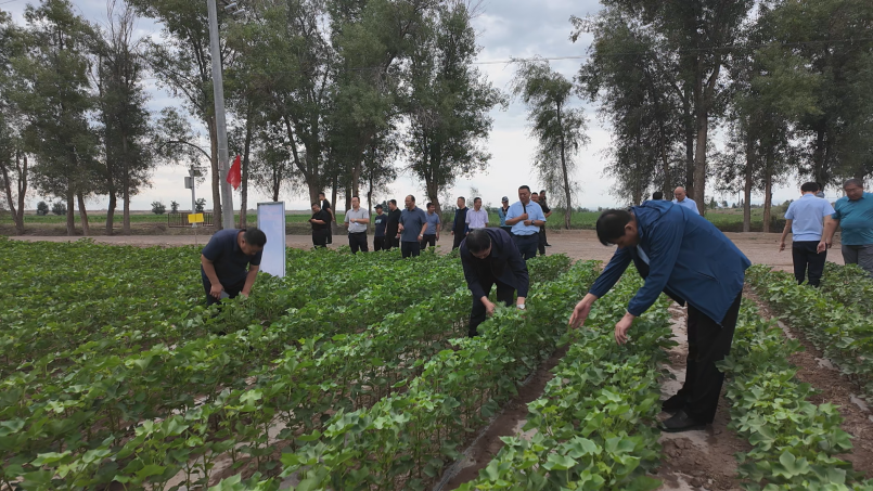 微信图片_20240614103426