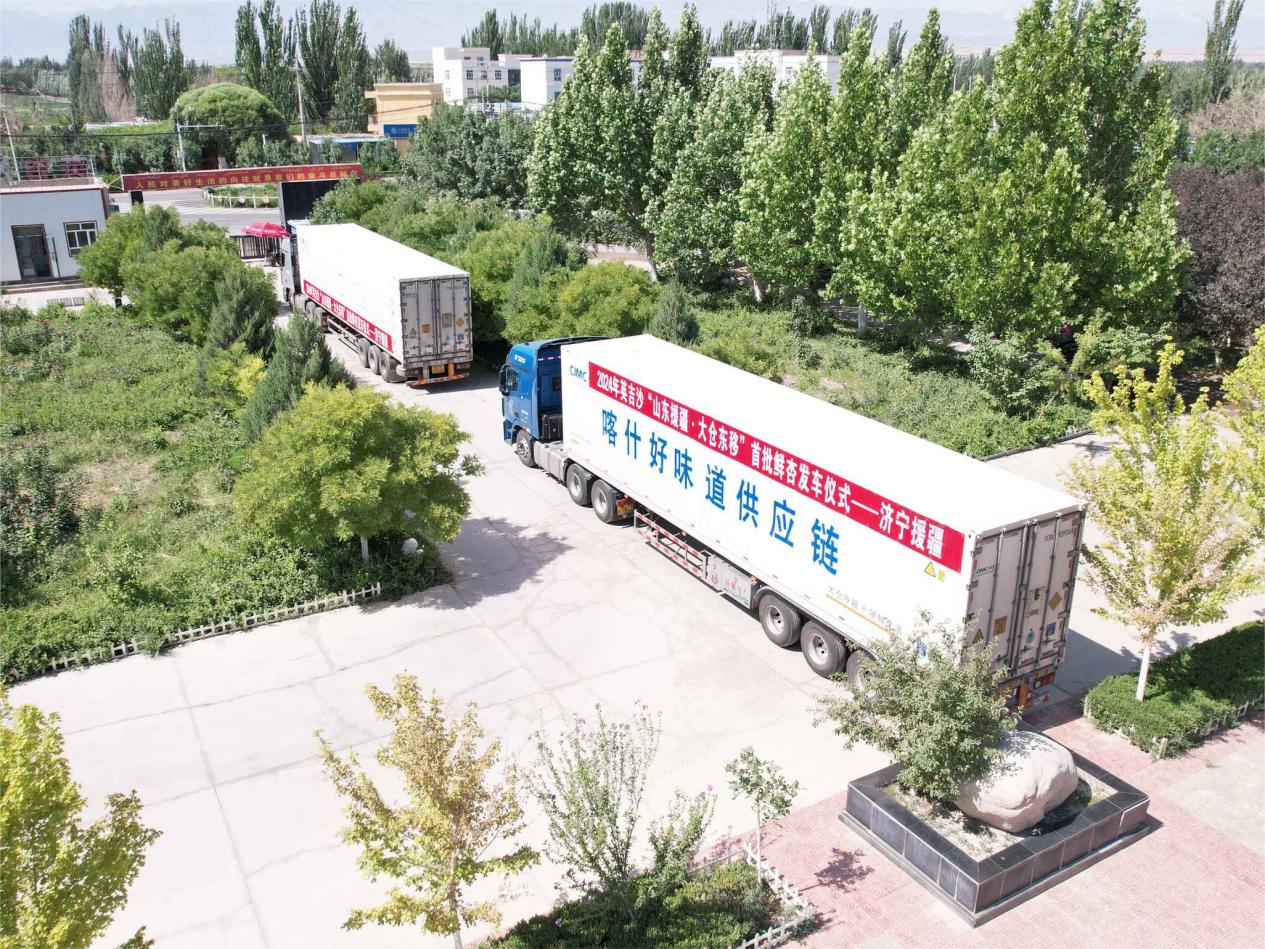 首批英吉沙鲜杏通过冷链运输车运往山东