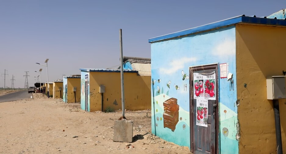 阿依玛克村的温室大棚“一条街”