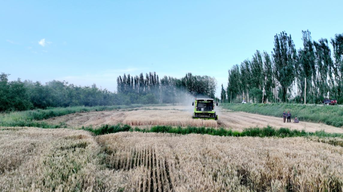 a8494f607265c3d972a9231cc1628ca