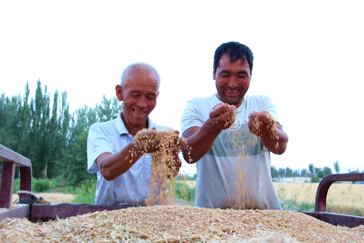 1e7fff6b360836e1f55ab92d9b7b664