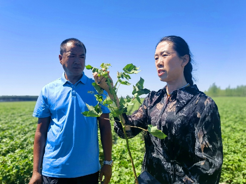 2a1fc23fb4a30f1df0f23179e3c0684_副本