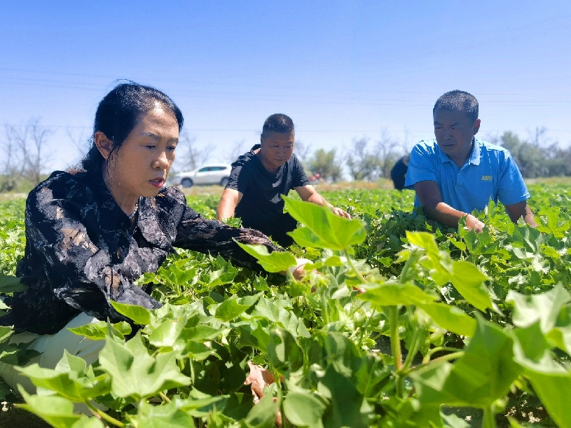 22b07725dab4ebb605d6f917a079255_副本