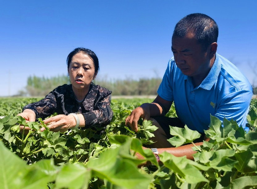 5b387c0f639e788edf5e776a6373fa9_副本