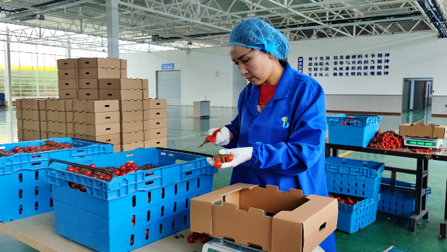 微信图片_20240627122602