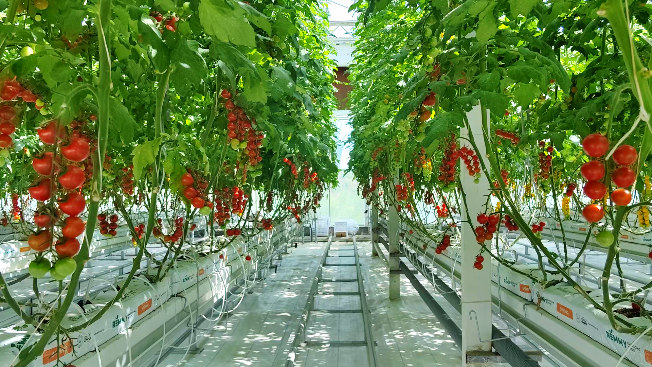 微信图片_20240627122626