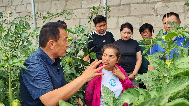 微信图片_20240627122639