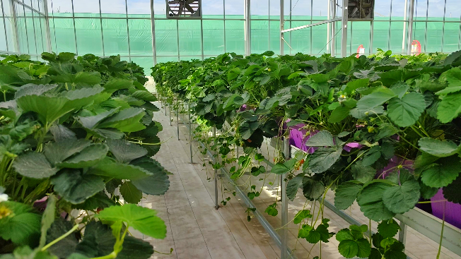 微信图片_20240627122645