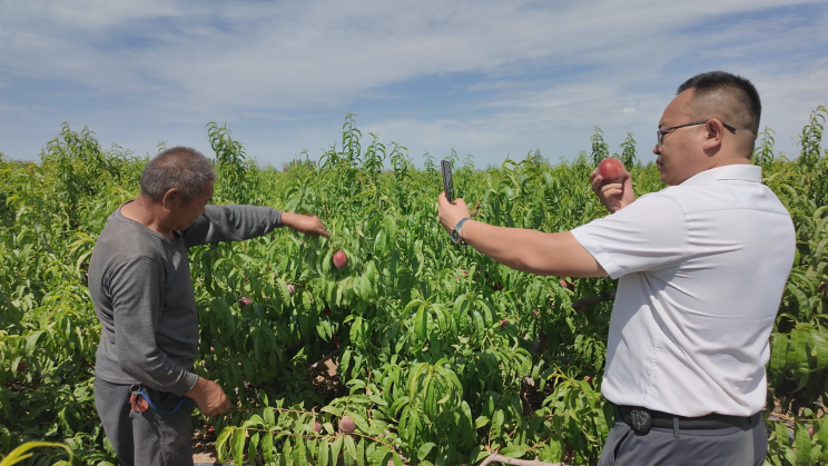 微信图片_20240624175807