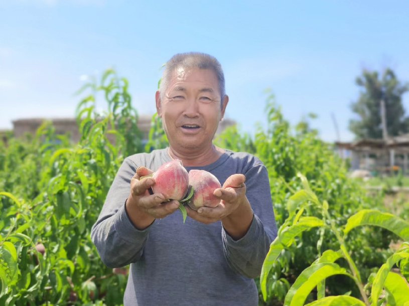 微信图片_20240624174607