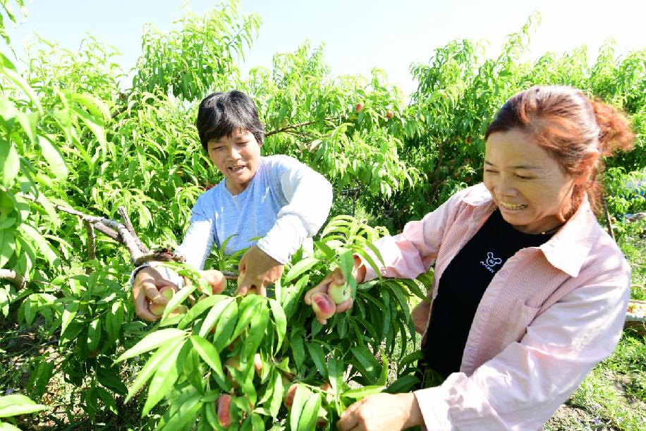 8d5a22983a76be215425c2fffd1ae2f