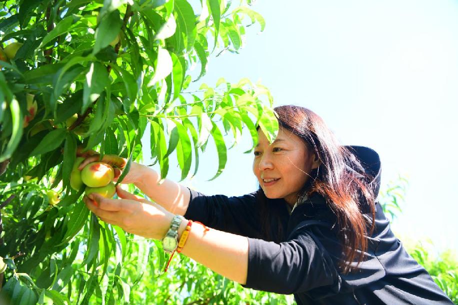 7ab60ad8f4826738608d8c3888c0c43