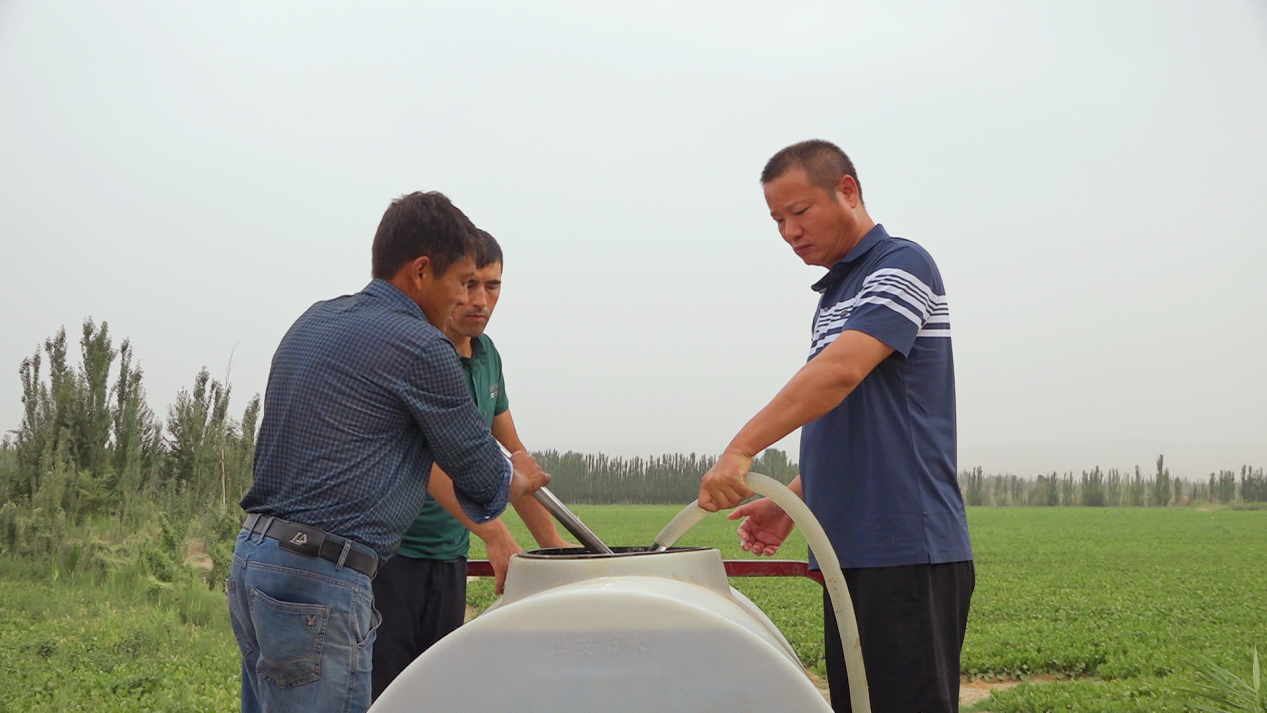 墨玉县扎瓦镇依格孜艾日克村500亩辣根种植地工作人员正在准备给辣根喷洒的肥料。