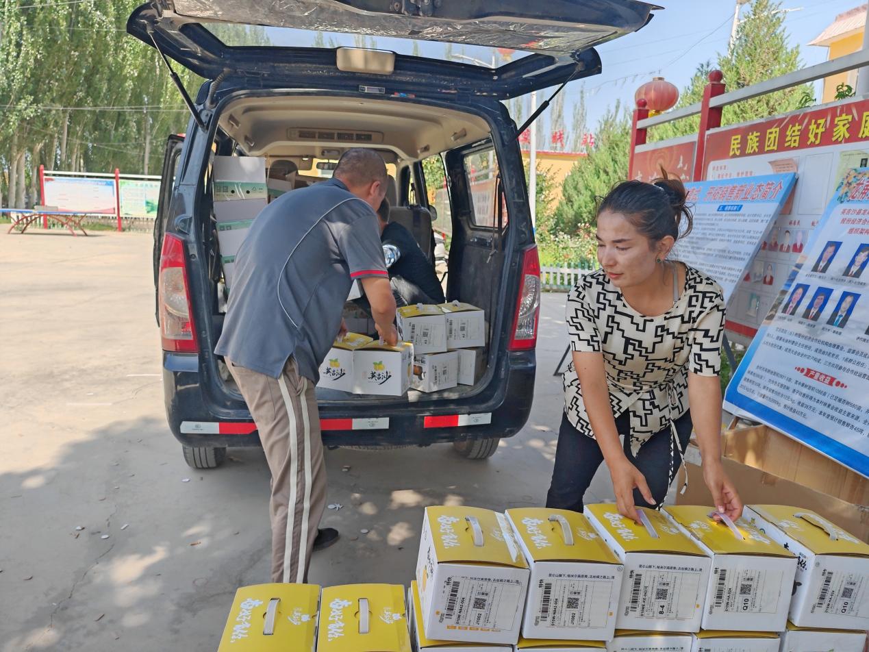 打包好的鲜杏通过顺丰速运发货到全国