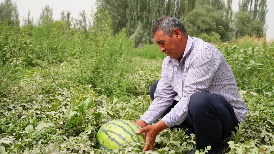 W020240709587154711813