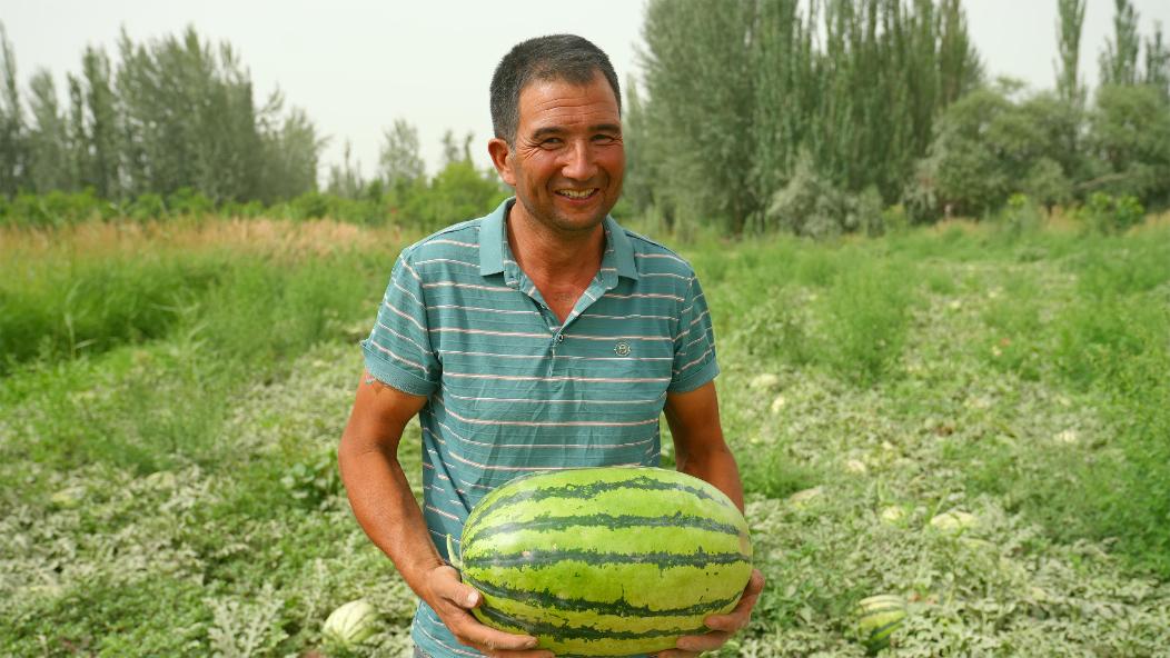 W020240709587155676527